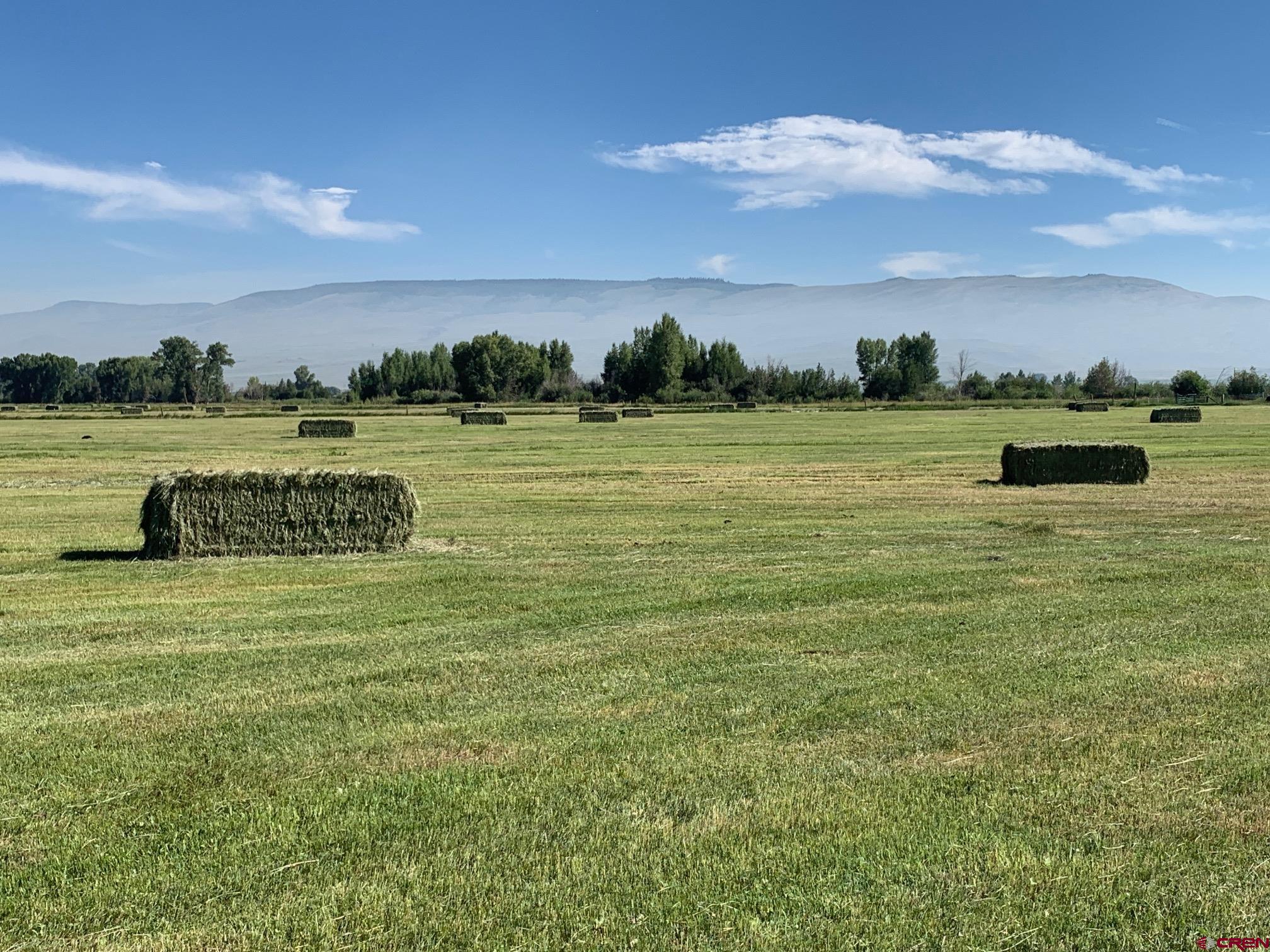 607 County Road 730 Gunnison, CO 81230 - Photo 15 of 35 a view of a lake with a yard