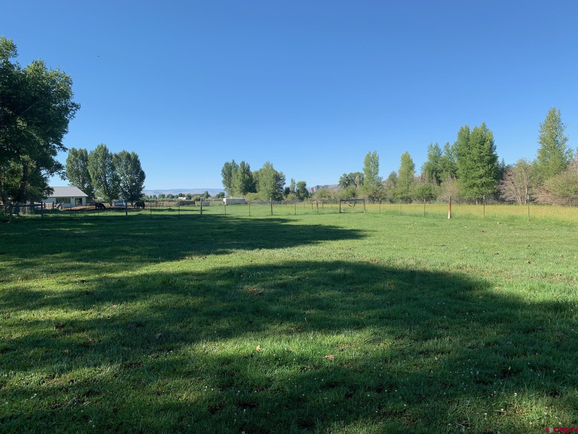 607 County Road 730 Gunnison, CO 81230 - Photo 17 of 35 a yard with lots of green space and trees in the background