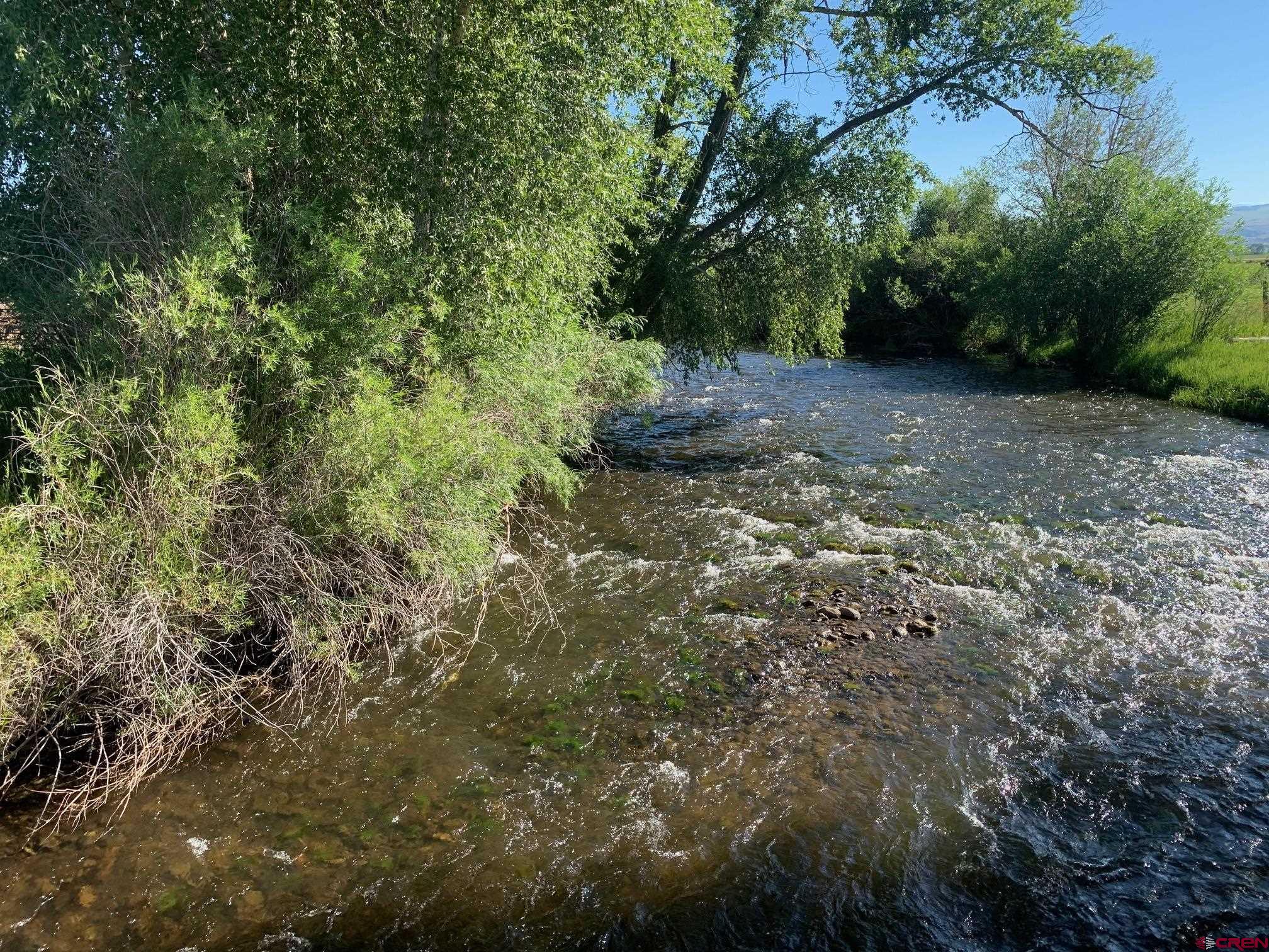 607 County Road 730 Gunnison, CO 81230 - Photo 3 of 35 a view of a forest with trees in the background