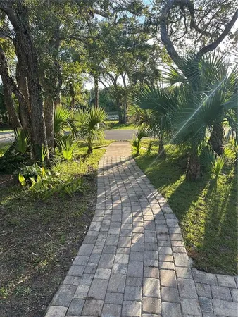 a view of yard