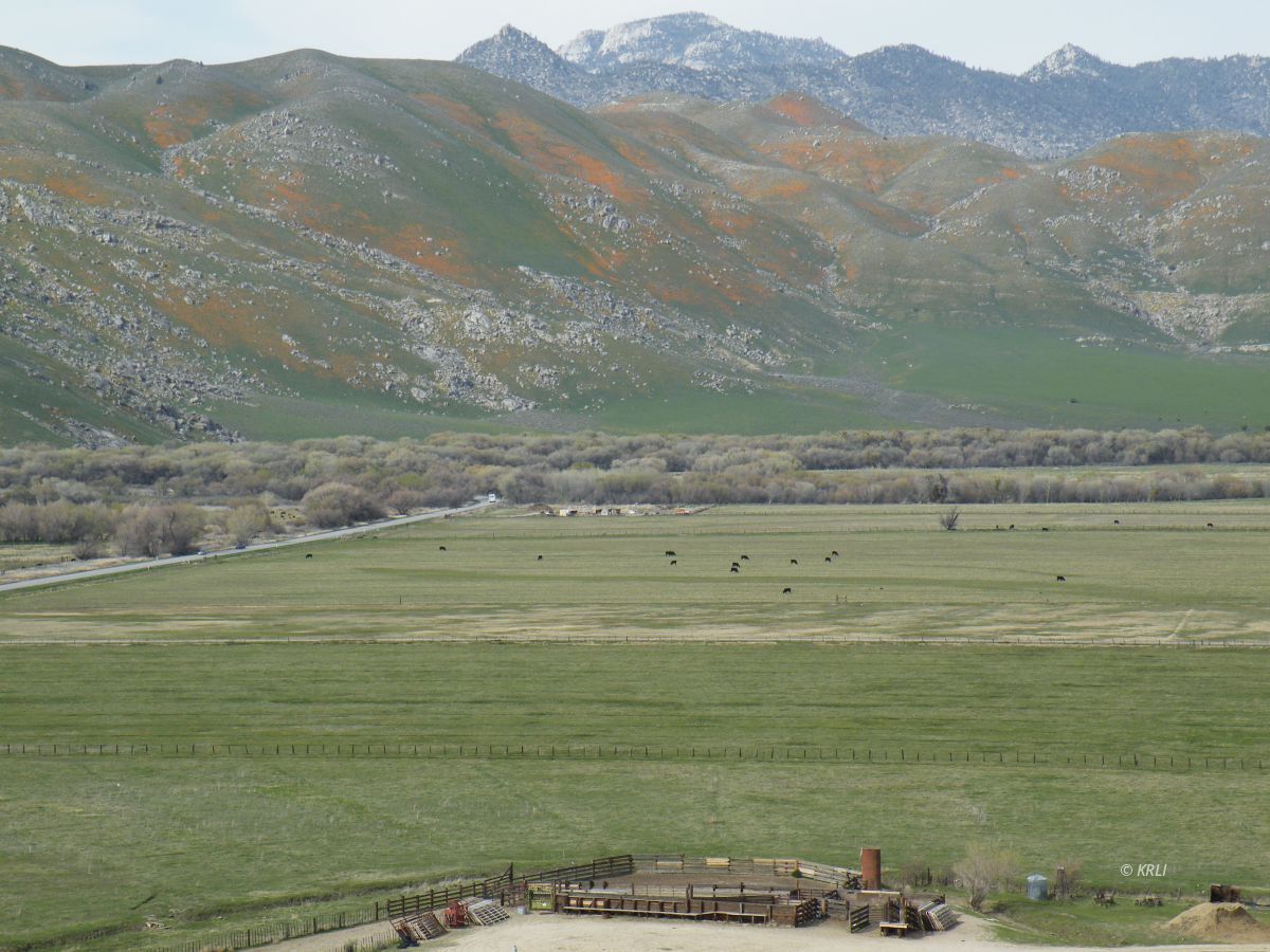 Pauls Place Weldon, CA 93283 - Photo 29 of 48