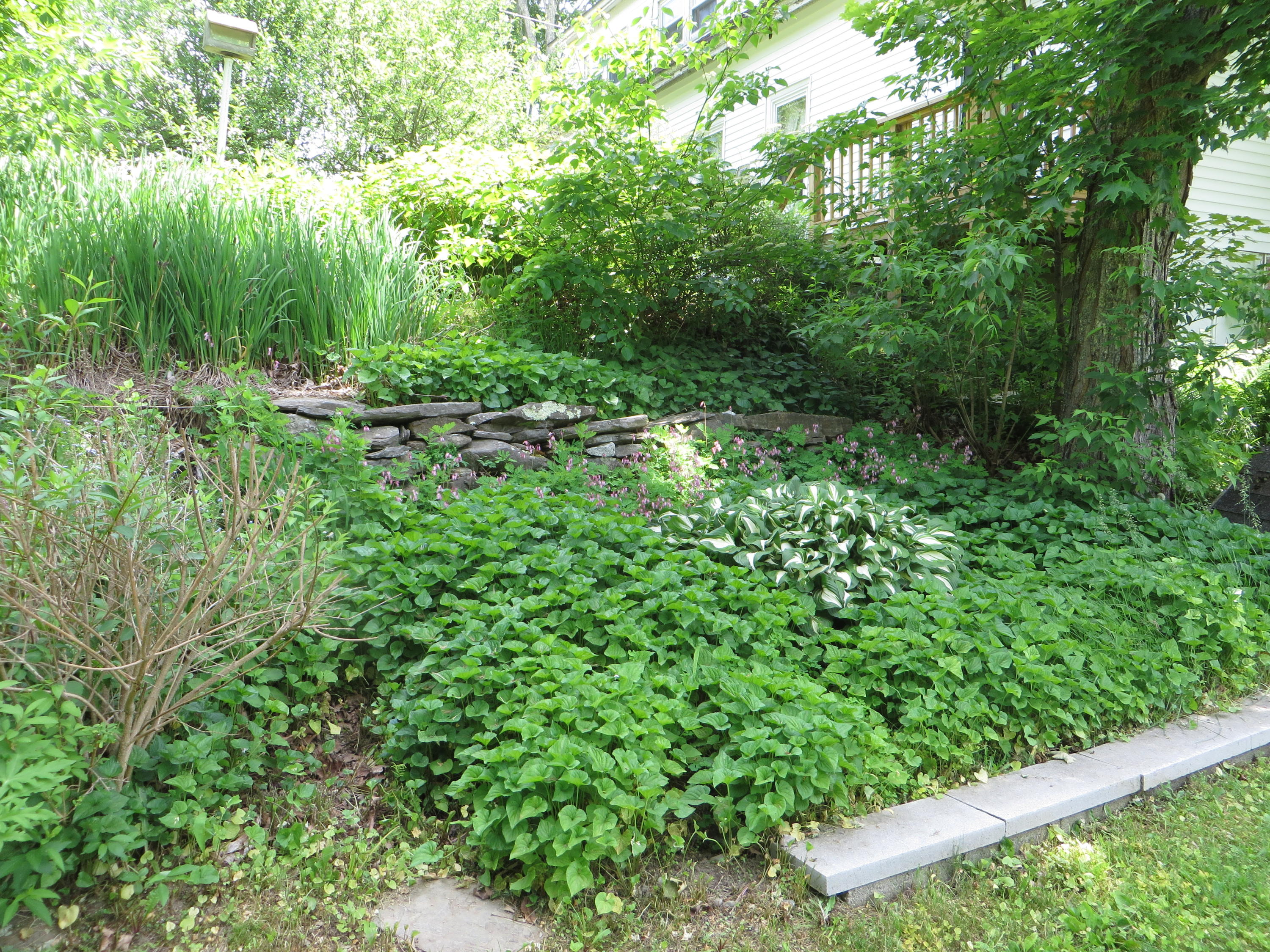 803 Dirigo Road South China, ME 04358 - Photo 9 of 49 IMG_8252