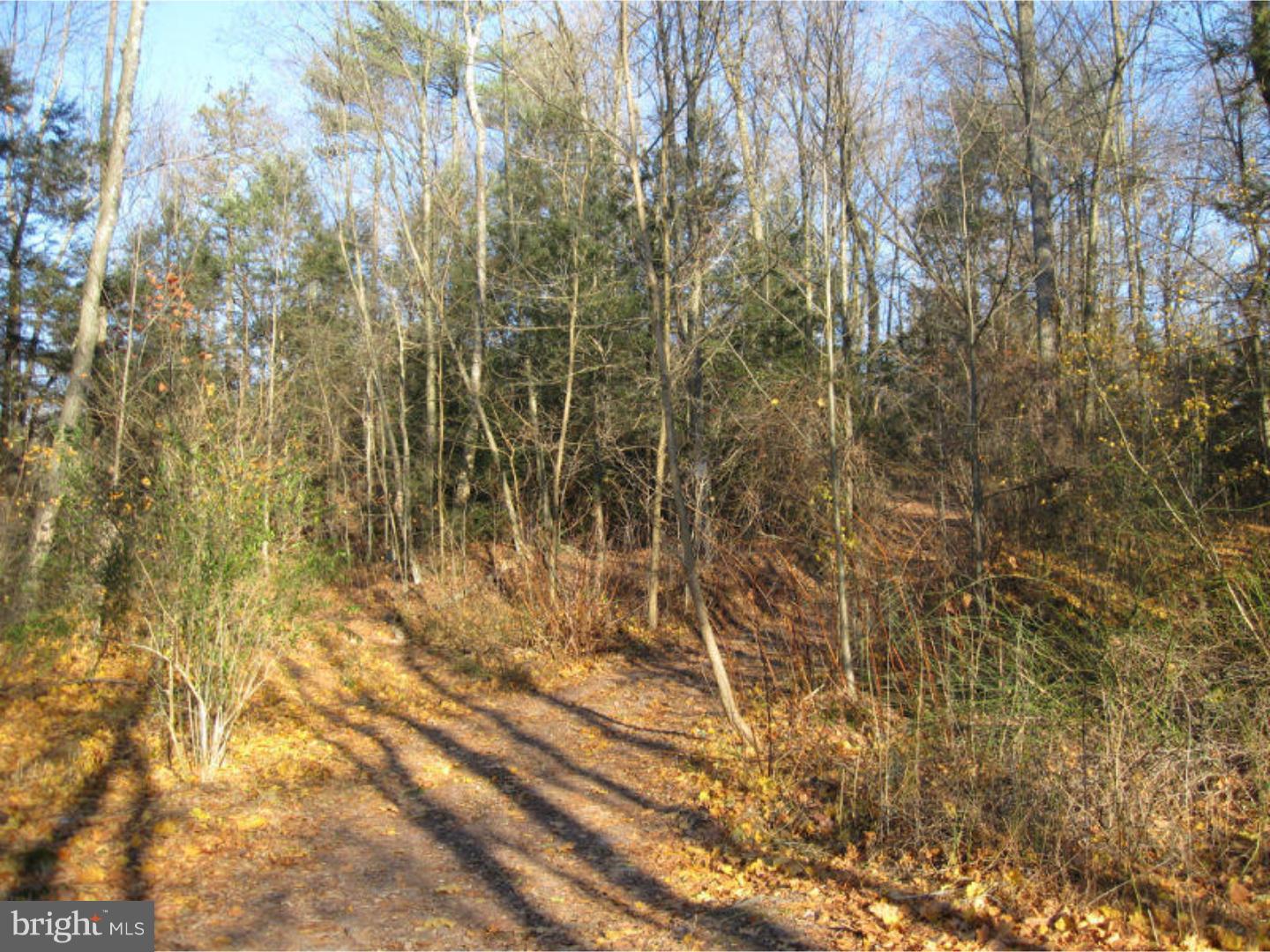 0 East Gordon Road Ashland, PA 17921 - Photo 8 of 18