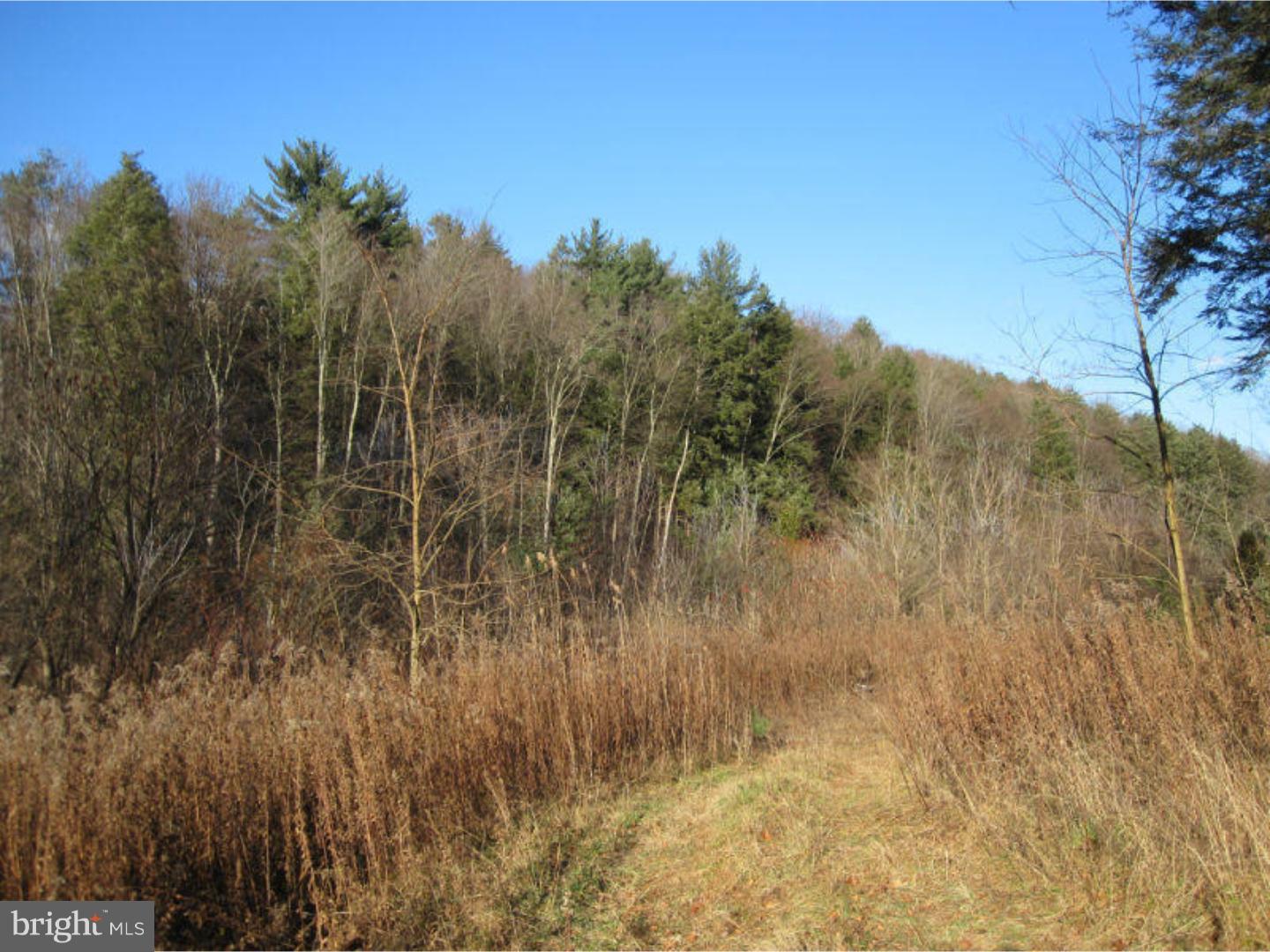 0 East Gordon Road Ashland, PA 17921 - Photo 10 of 18