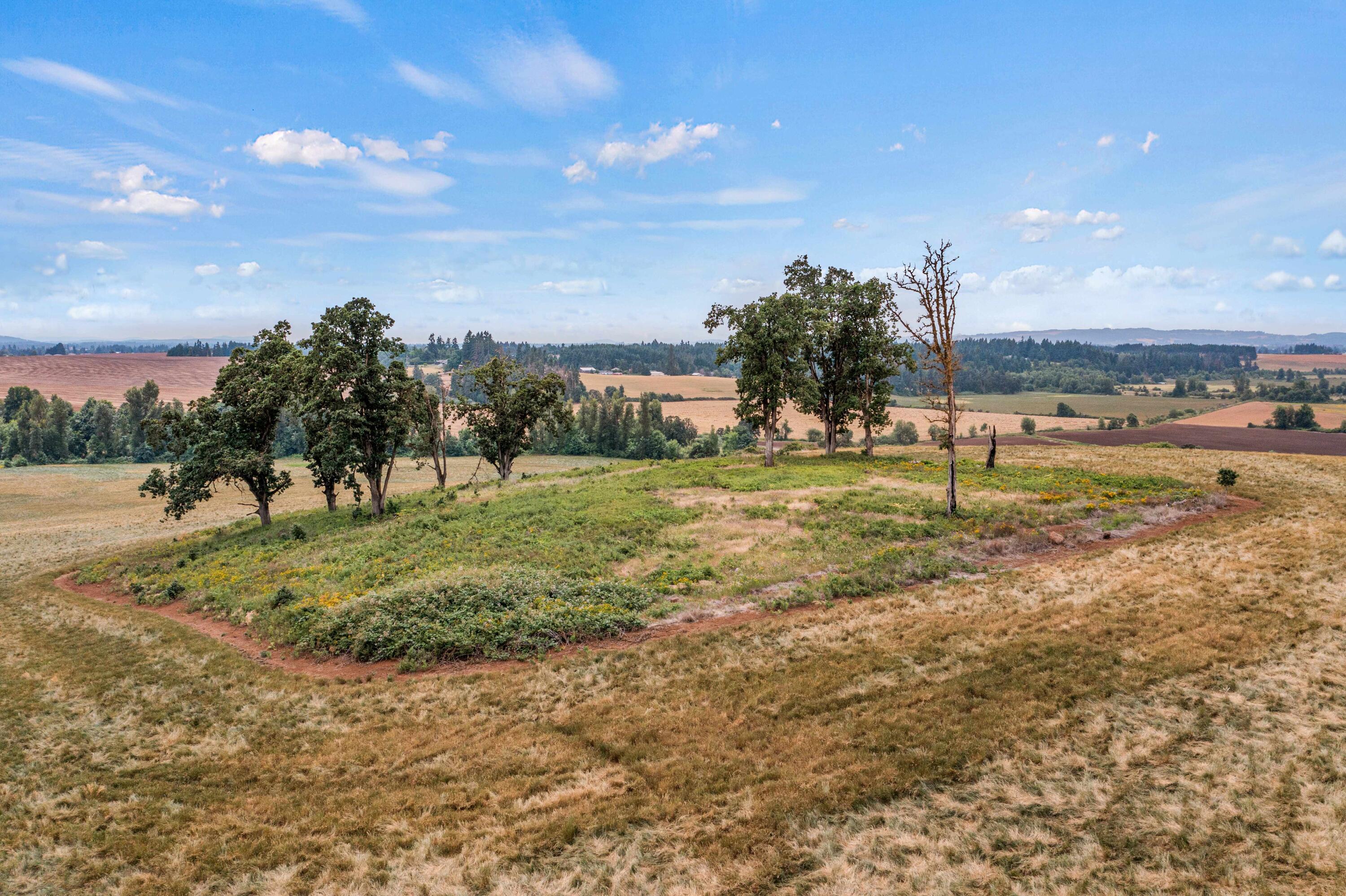 Anderson Road Northeast, Unit 100 Sublimity, OR 97385 - Photo 10 of 24 09DJI_0298