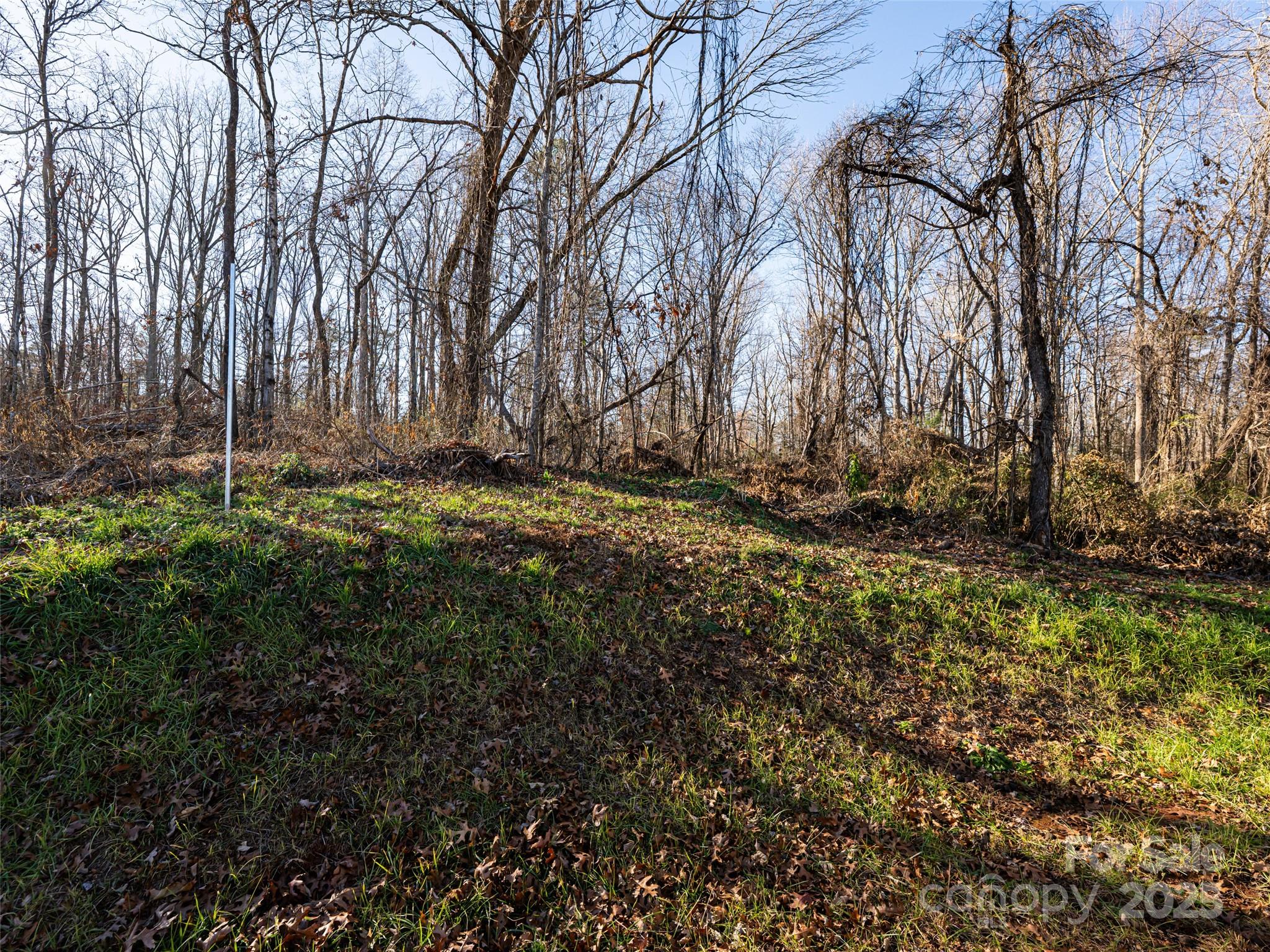 4148 Tallent Road Morganton, NC 28655 - Photo 27 of 30 a backyard of a house with lots of green space