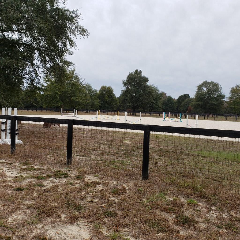 Tbd Tbd Wagener Road Salley, SC 29137 - Photo 7 of 7