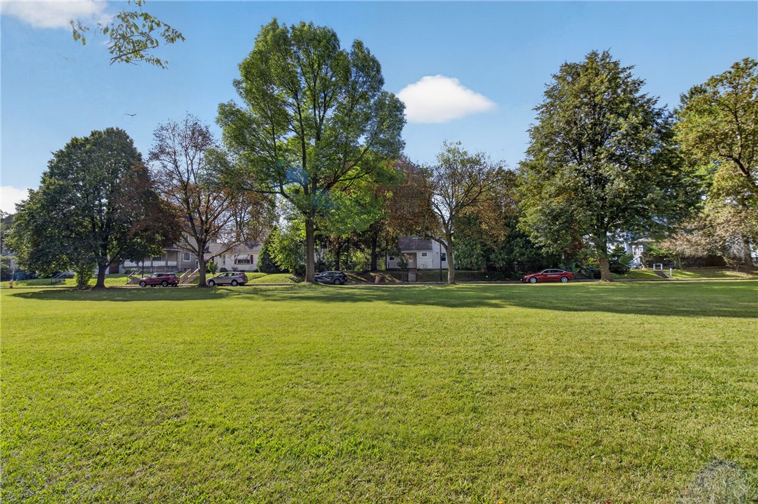 Trees, green grass, seasonal beauty