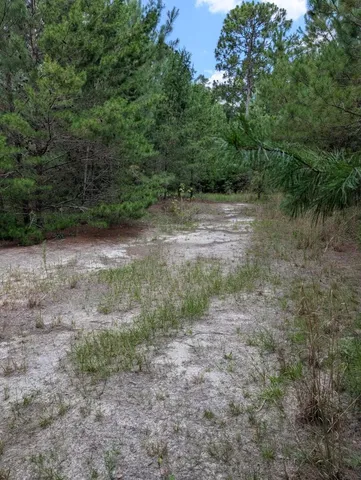 $200,000 | Tbd Chief Bragg Drive, Freeport, FL 32439