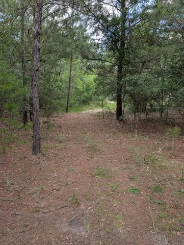 $200,000 | Tbd Chief Bragg Drive, Freeport, FL 32439