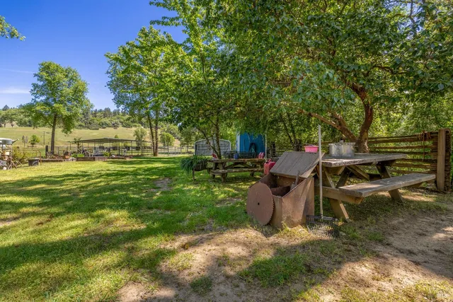 a view of a wooden deck with a bench and trees