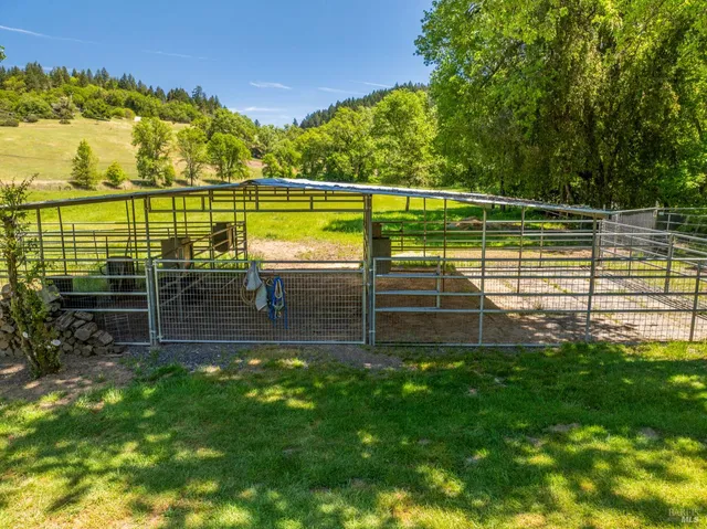 a view of a park with a large tree