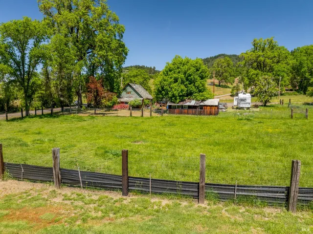 a view of a garden with lots of trees
