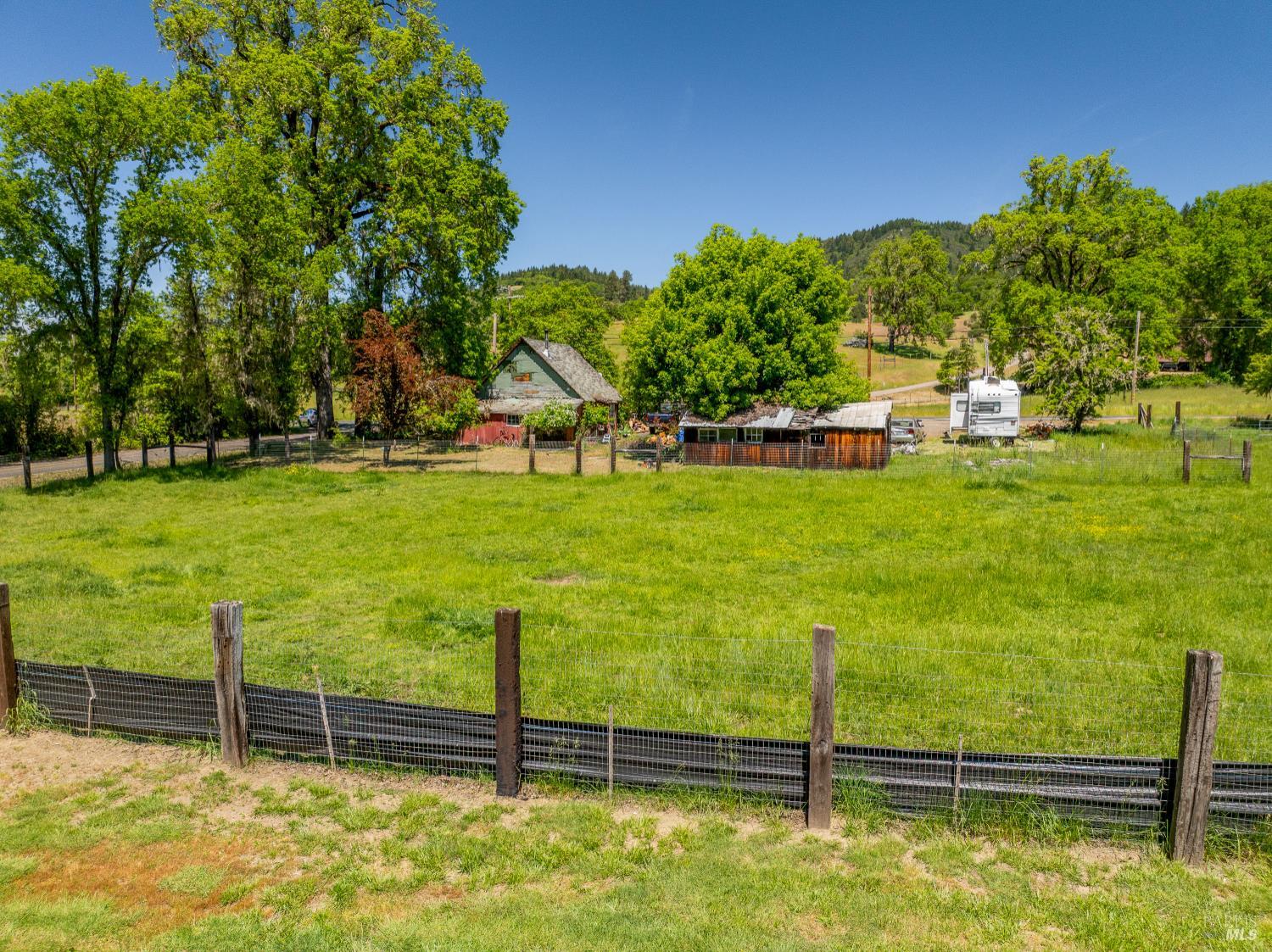 3901 Canyon Road Willits, CA 95490 - Photo 24 of 35 a view of a garden with lots of trees
