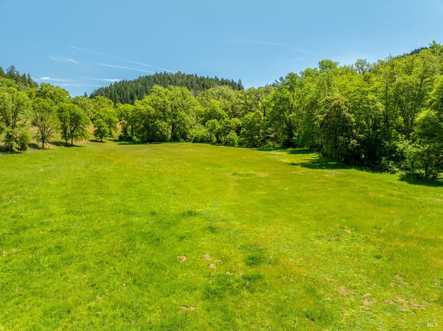 3901 Canyon Road Willits, CA 95490 - Photo 26 of 35 a view of yard with swimming pool and outdoor seating