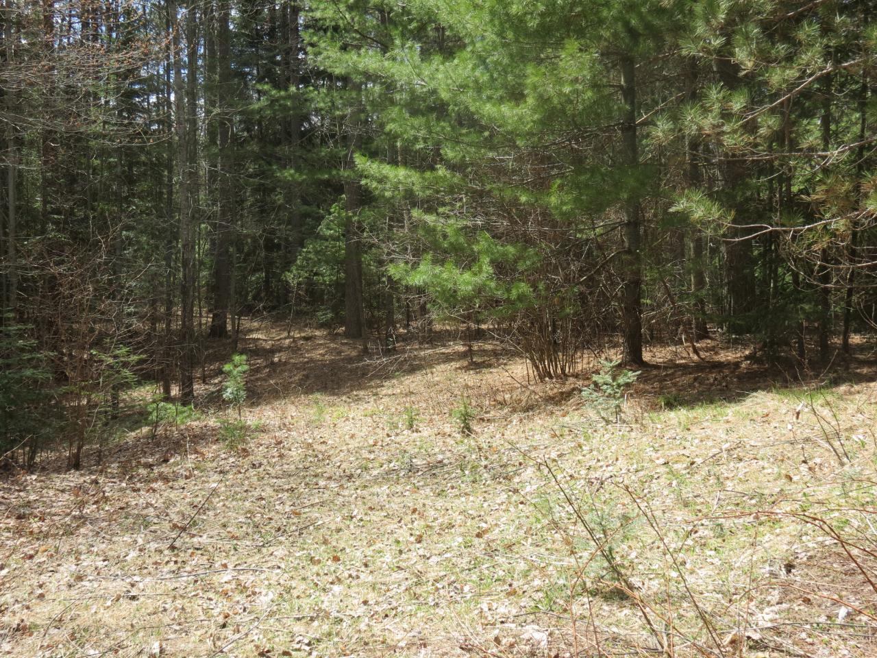 5070 Lassig Road Rhinelander, WI 54501 - Photo 19 of 20 Gallery Image 19