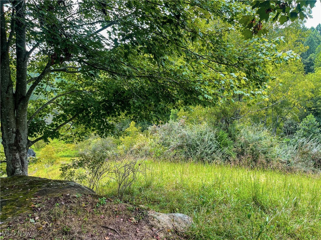 226 Banner Hill Road Spencer, WV 25276 - Photo 29 of 35