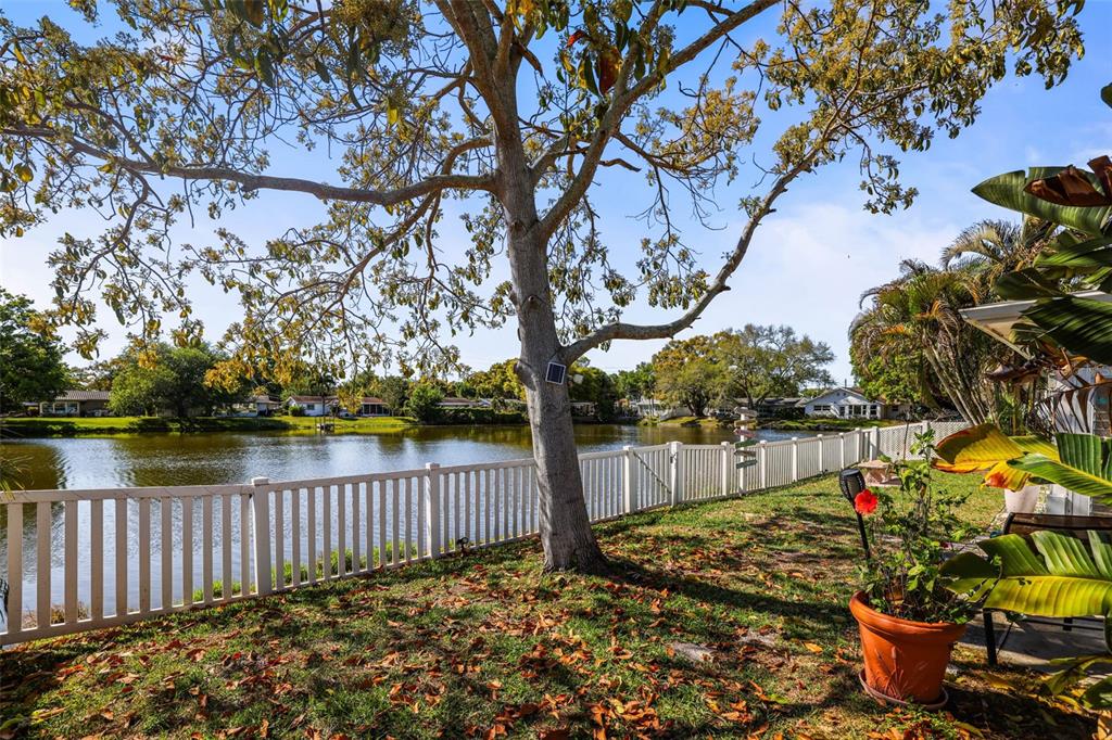 1218 Lazy Lake Road East Dunedin, FL 34698 - Photo 43 of 58