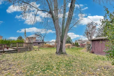a view of a yard with a tree