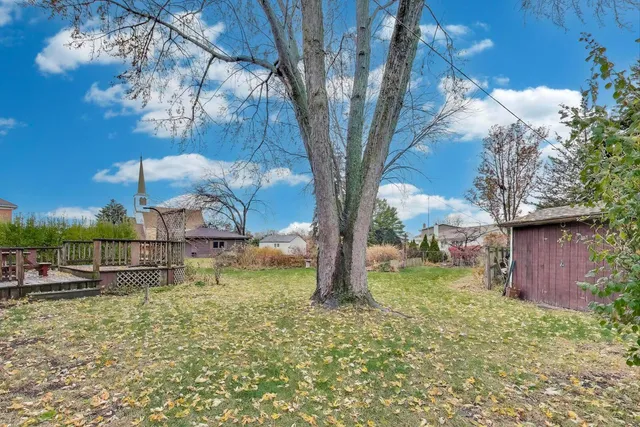 a view of a yard with a tree