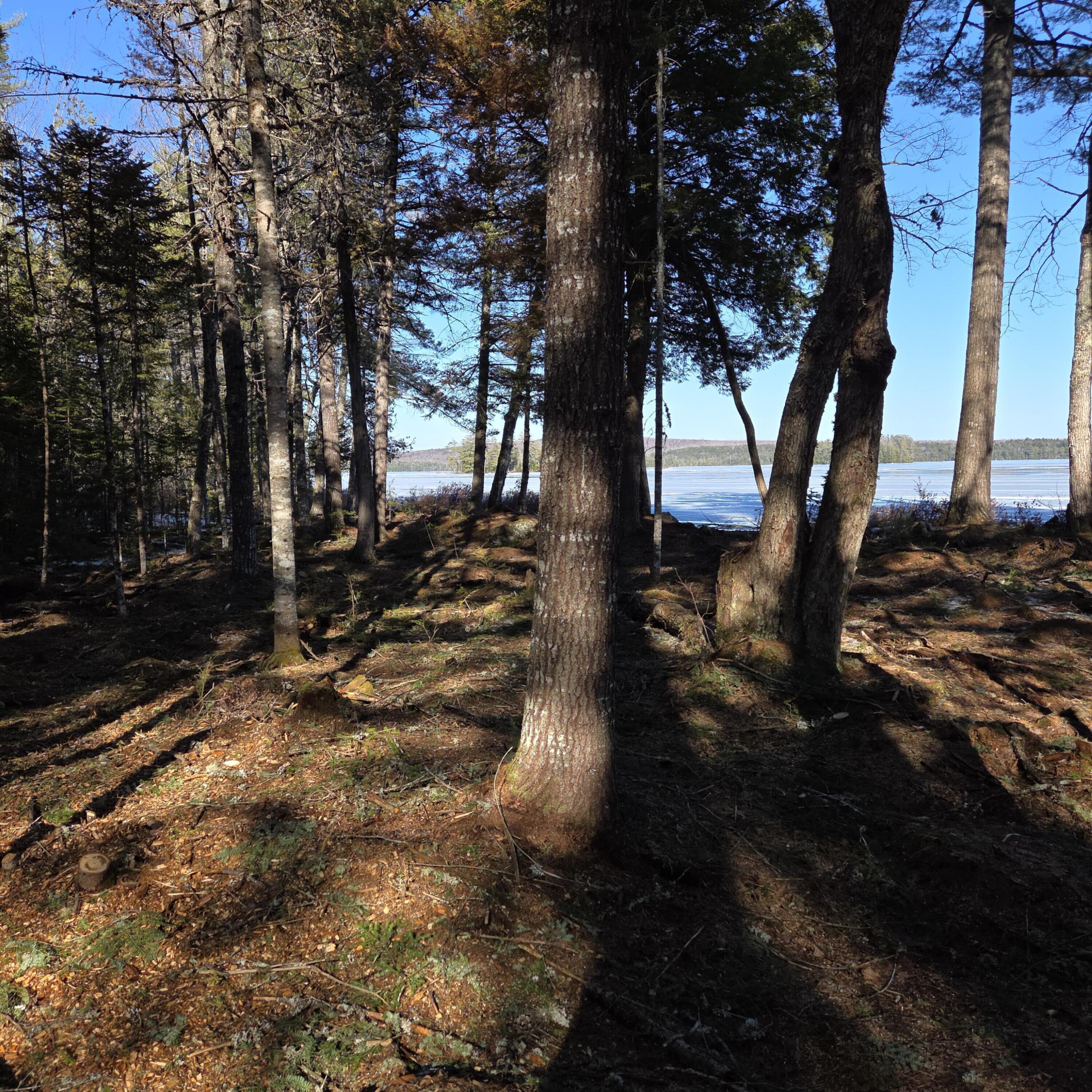 735 Mountain Road Howland, ME 04448 - Photo 13 of 21 new..