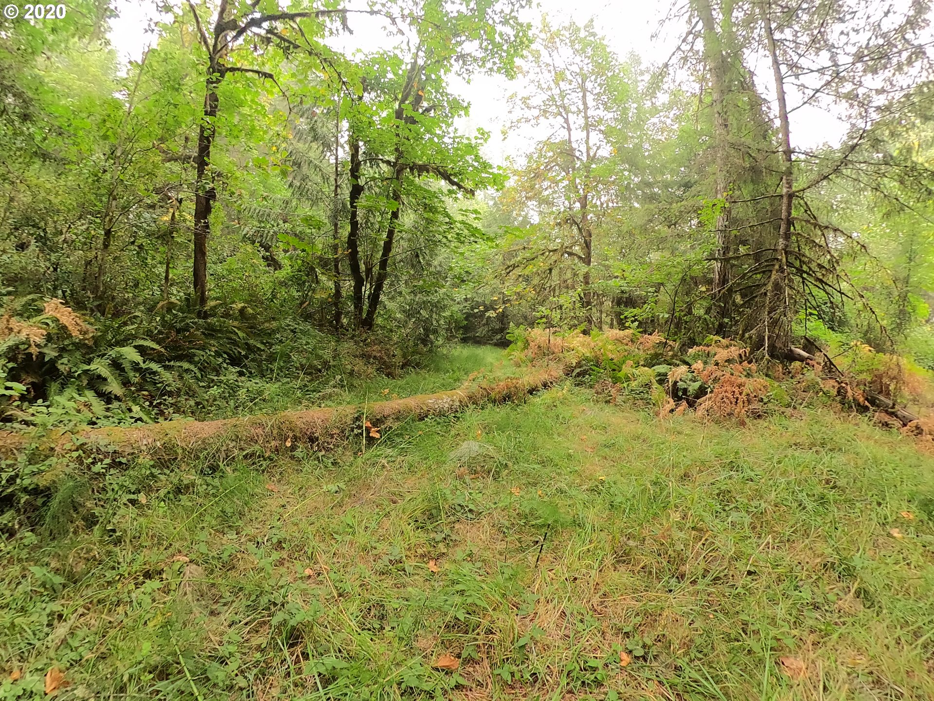 0 Thomson Mill Road Sheridan, OR 97378 - Photo 1 of 15