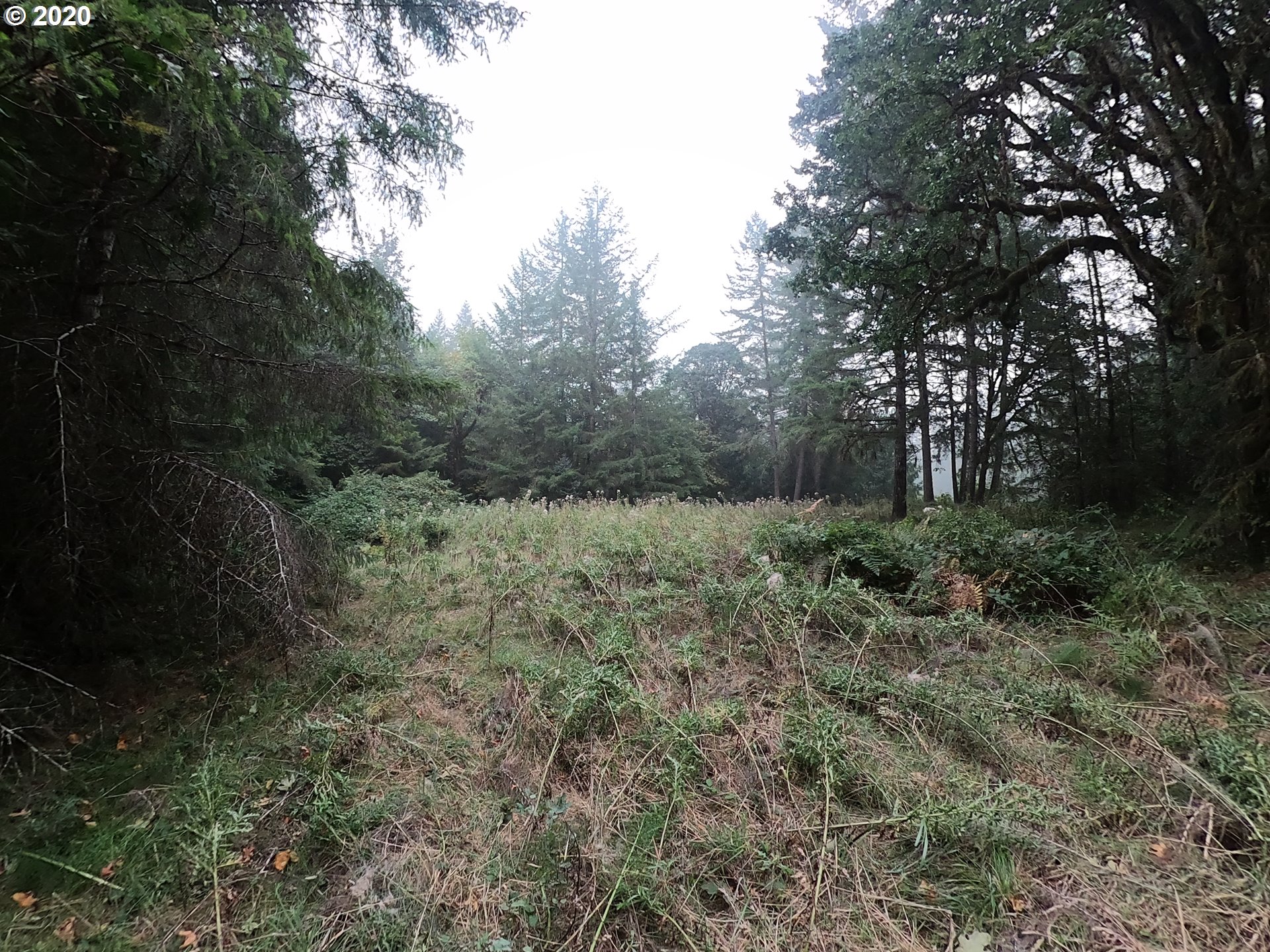 0 Thomson Mill Road Sheridan, OR 97378 - Photo 15 of 15
