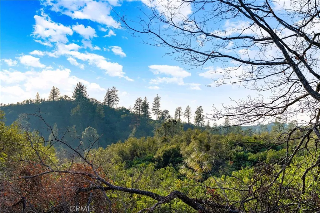 1 Ridge View Drive Sutter Creek, CA 95685 - Photo 25 of 25 a view of a yard with large tree
