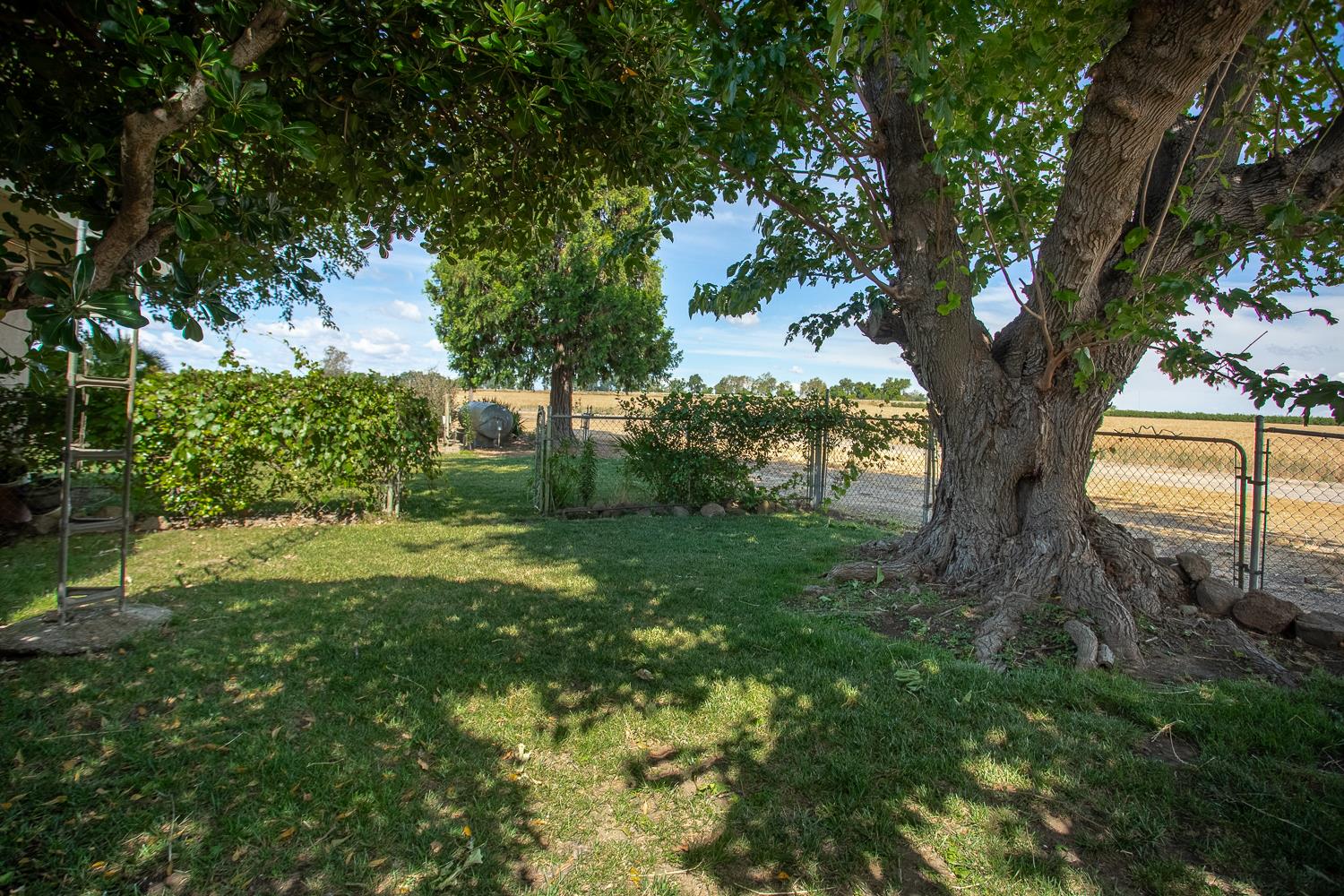 19257 Knights Road Knights Landing, CA 95645 - Photo 66 of 82