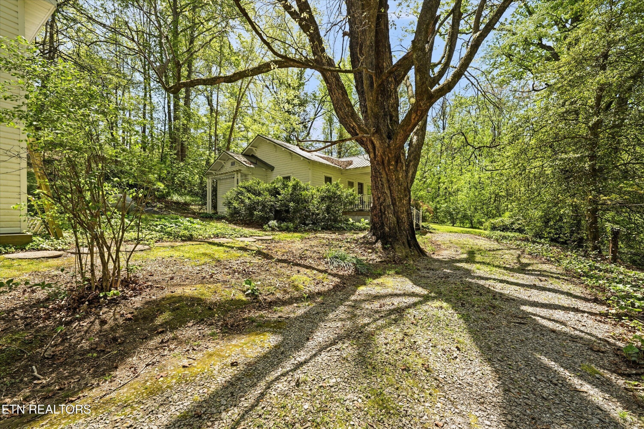 315 Laurel Hollow Road Clinton, TN 37716 - Photo 27 of 40 a view of yard with large trees