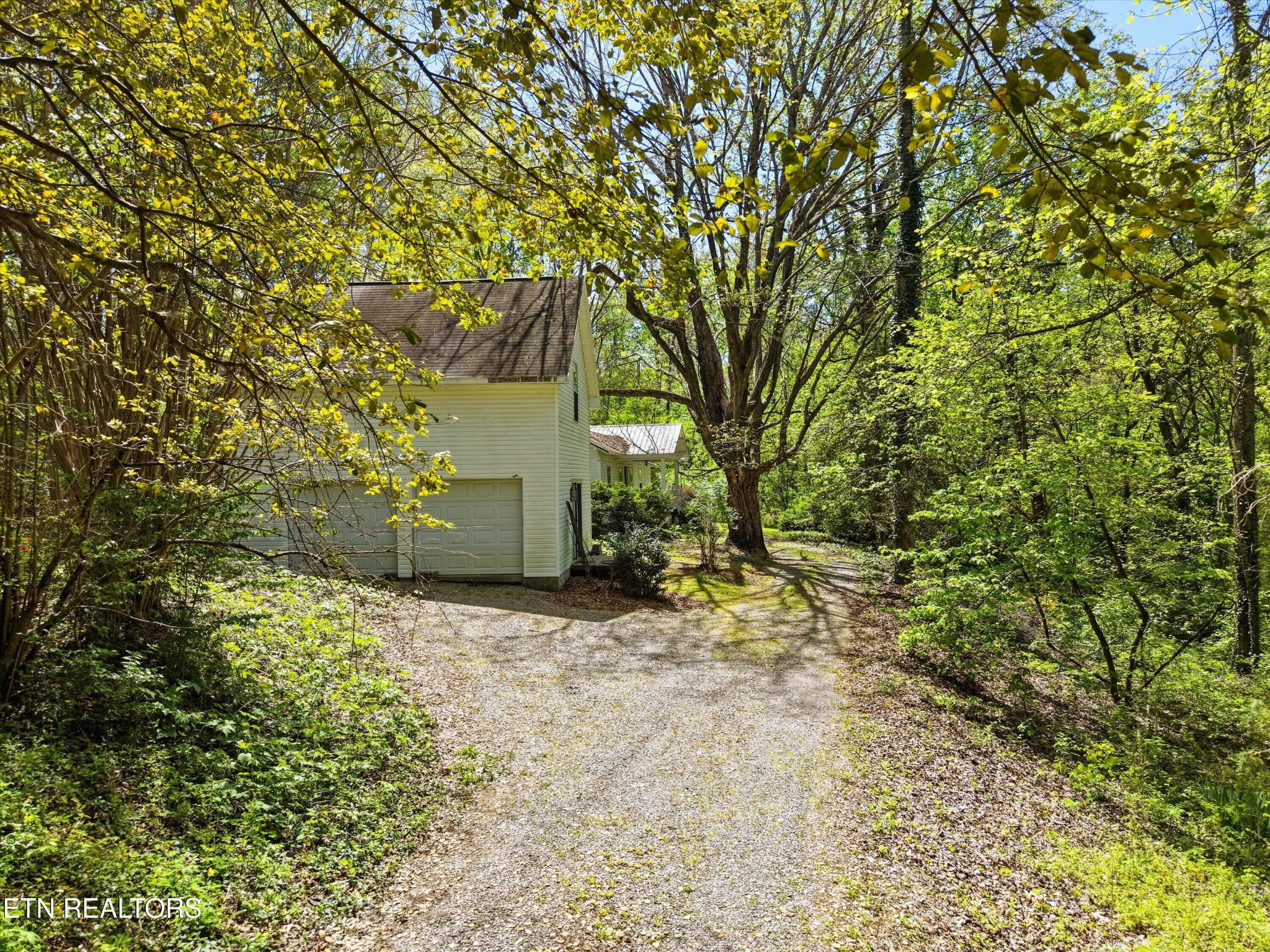 315 Laurel Hollow Road Clinton, TN 37716 - Photo 31 of 40 a backyard of a house with plants and large trees