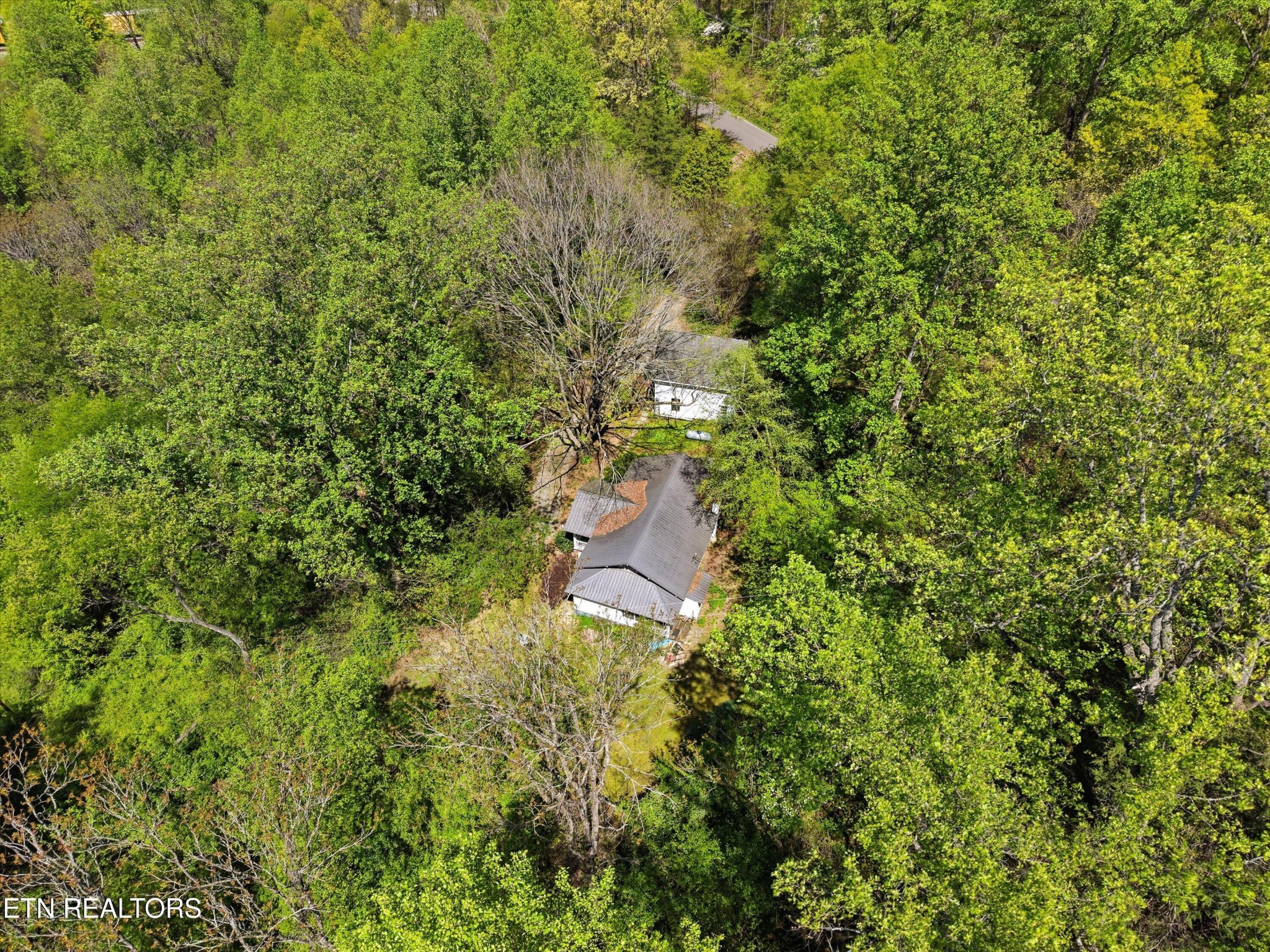 315 Laurel Hollow Road Clinton, TN 37716 - Photo 34 of 40 a view of a yard with a tree