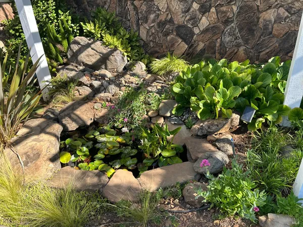 a view of a backyard of the house