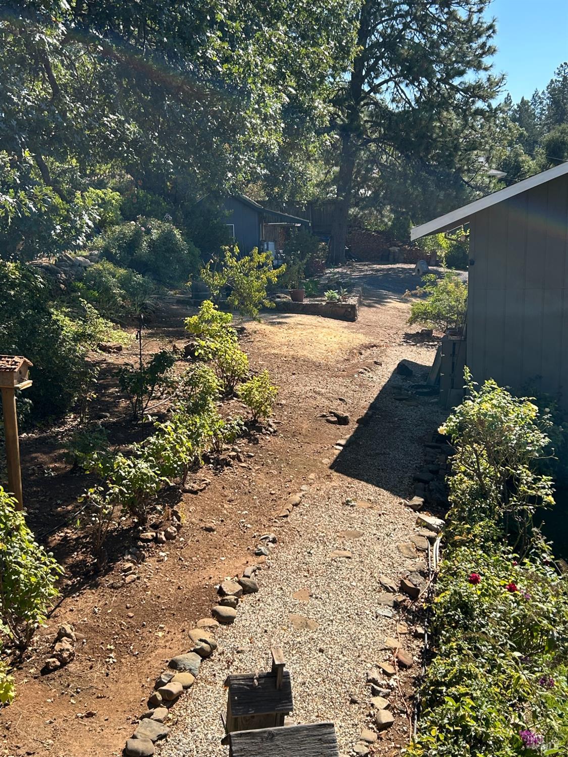 271 White Cottage Road South Angwin, CA 94508 - Photo 26 of 30 a view of a yard with plants