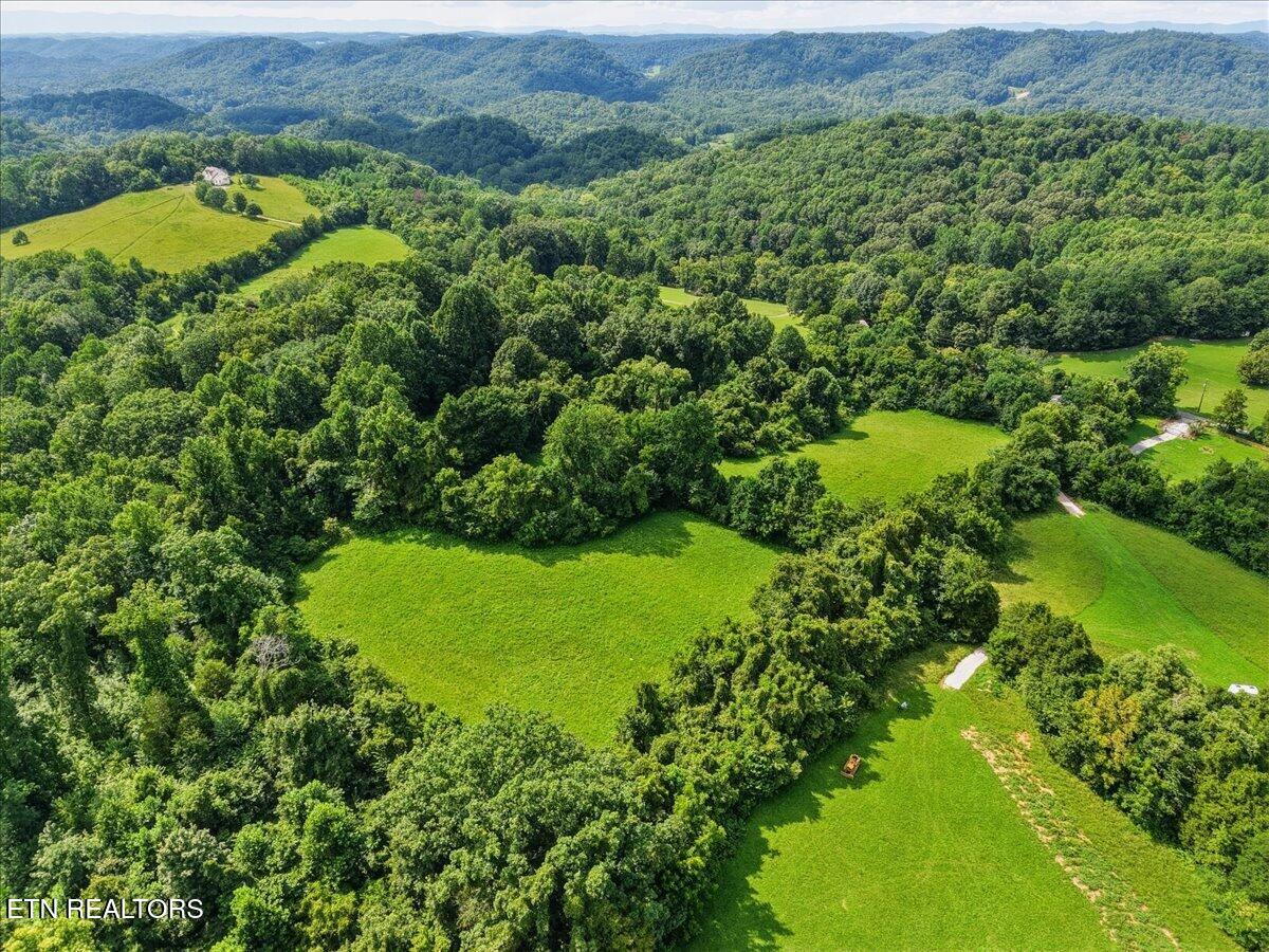 579-565 Harless Road Corryton, TN 37721 - Photo 4 of 11 Two large pastures