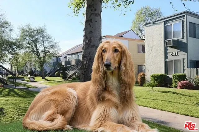 a view of a house with a yard and plants