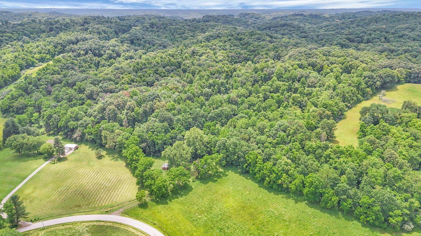 16749 Mush Run Road Athens, OH 45701 - Photo 27 of 37 43-web-or-mls-DJI_20260622131629_0718_D