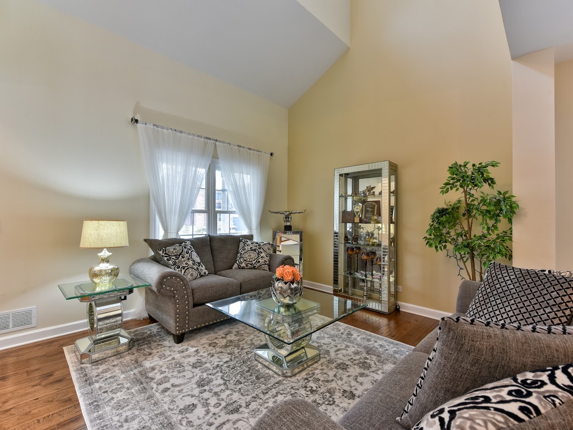 117 Grey Fox Court Streamwood, IL 60107 - Photo 18 of 31 a living room with furniture and a potted plant