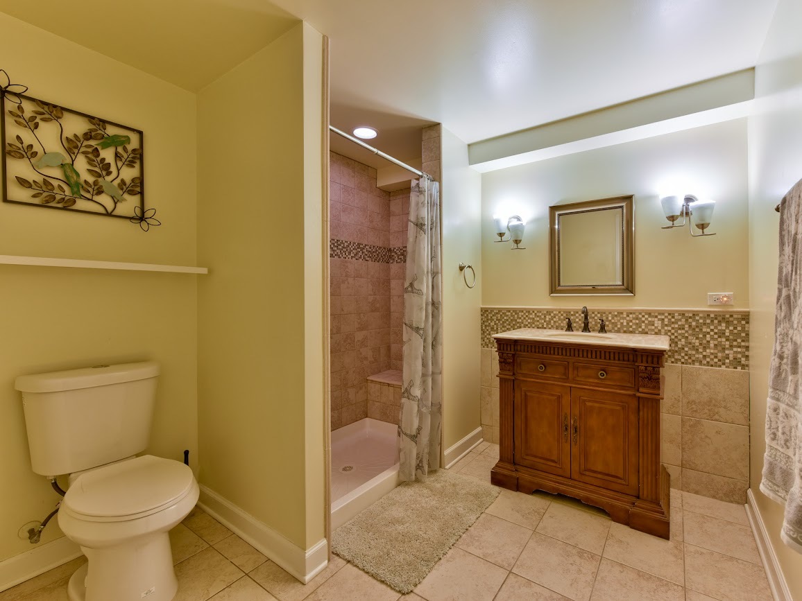117 Grey Fox Court Streamwood, IL 60107 - Photo 22 of 31 a bathroom with a granite countertop sink toilet and shower