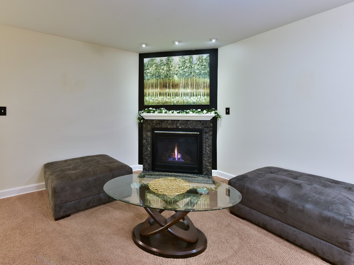 117 Grey Fox Court Streamwood, IL 60107 - Photo 27 of 31 a living room with furniture a rug and a fireplace