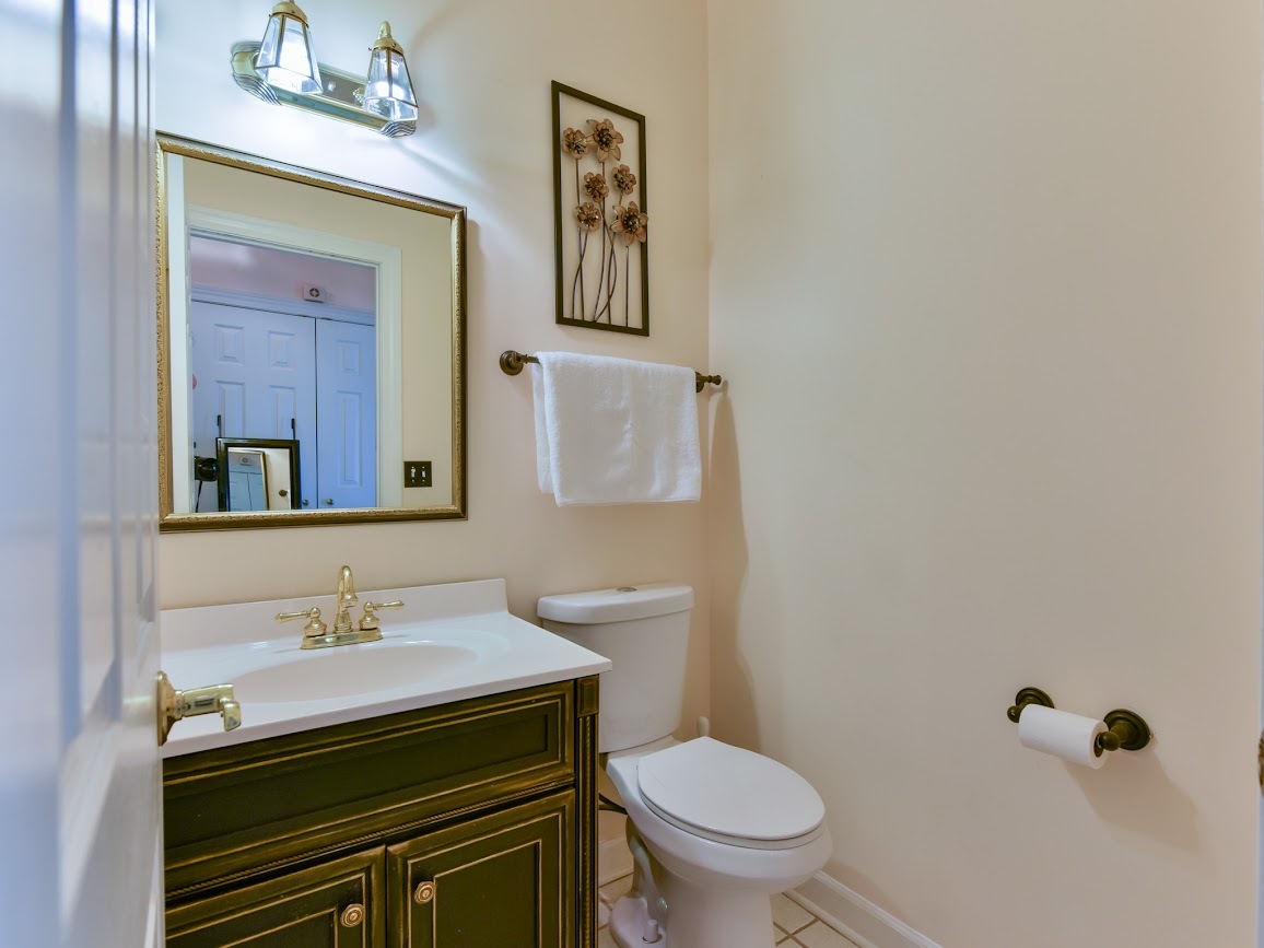 117 Grey Fox Court Streamwood, IL 60107 - Photo 28 of 31 a bathroom with a sink mirror and toilet