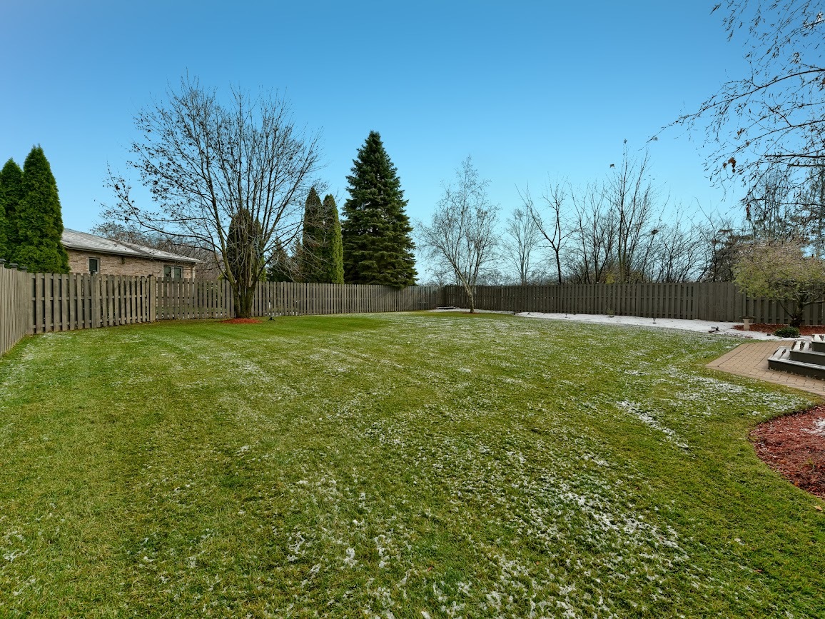 117 Grey Fox Court Streamwood, IL 60107 - Photo 4 of 31 a view of a backyard with a large tree