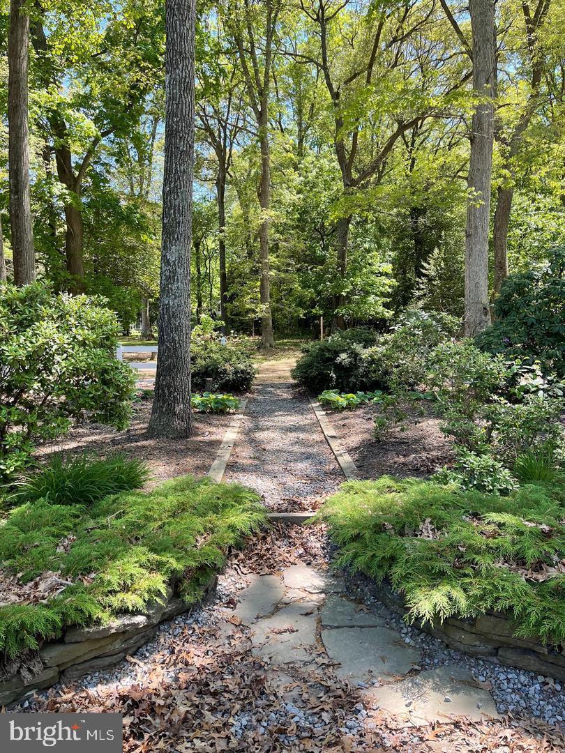22887 Sycamore Drive Lewes, DE 19958 - Photo 16 of 38 a backyard of a house with lots of green space