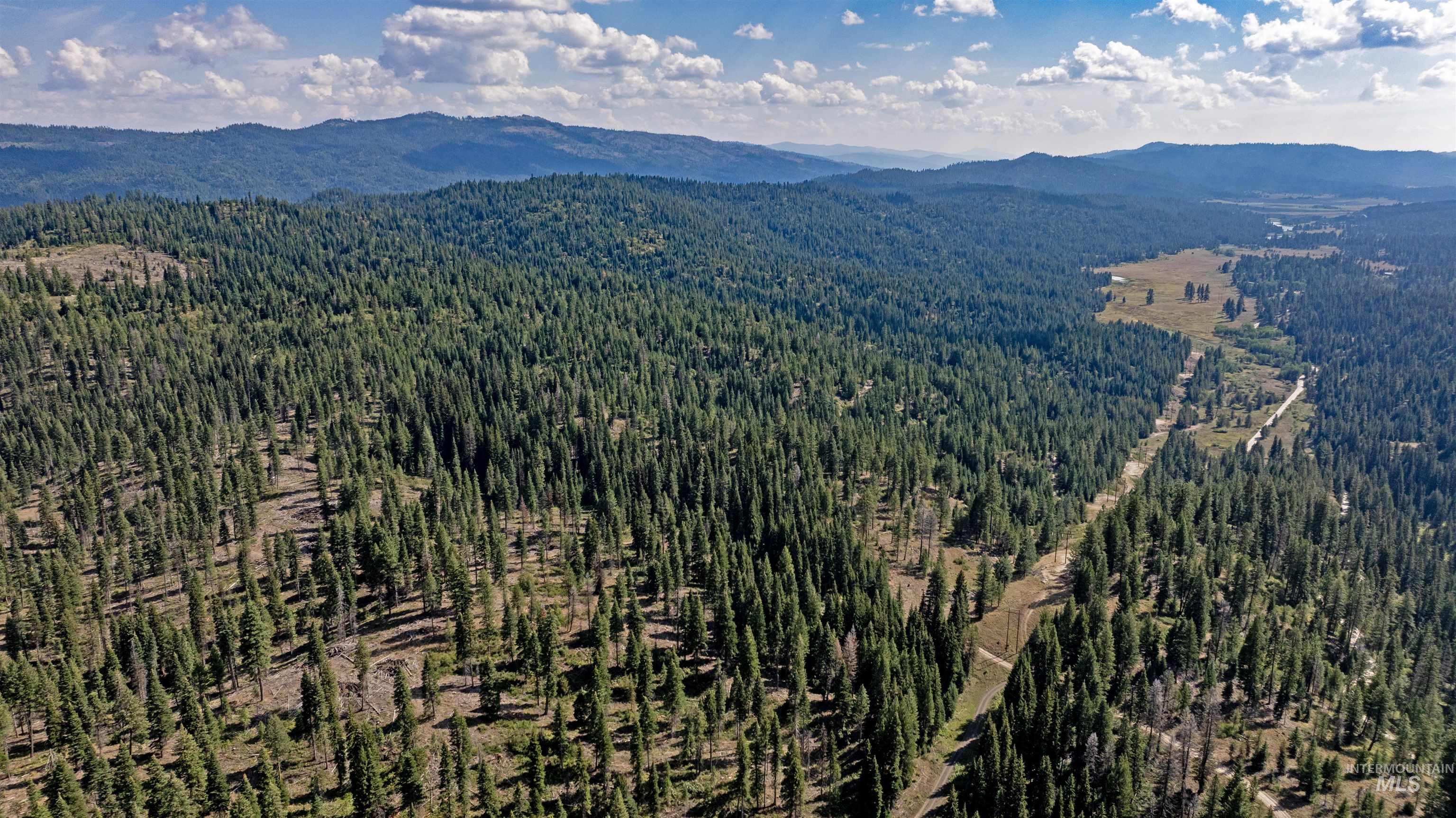 View of mountain background with a forest