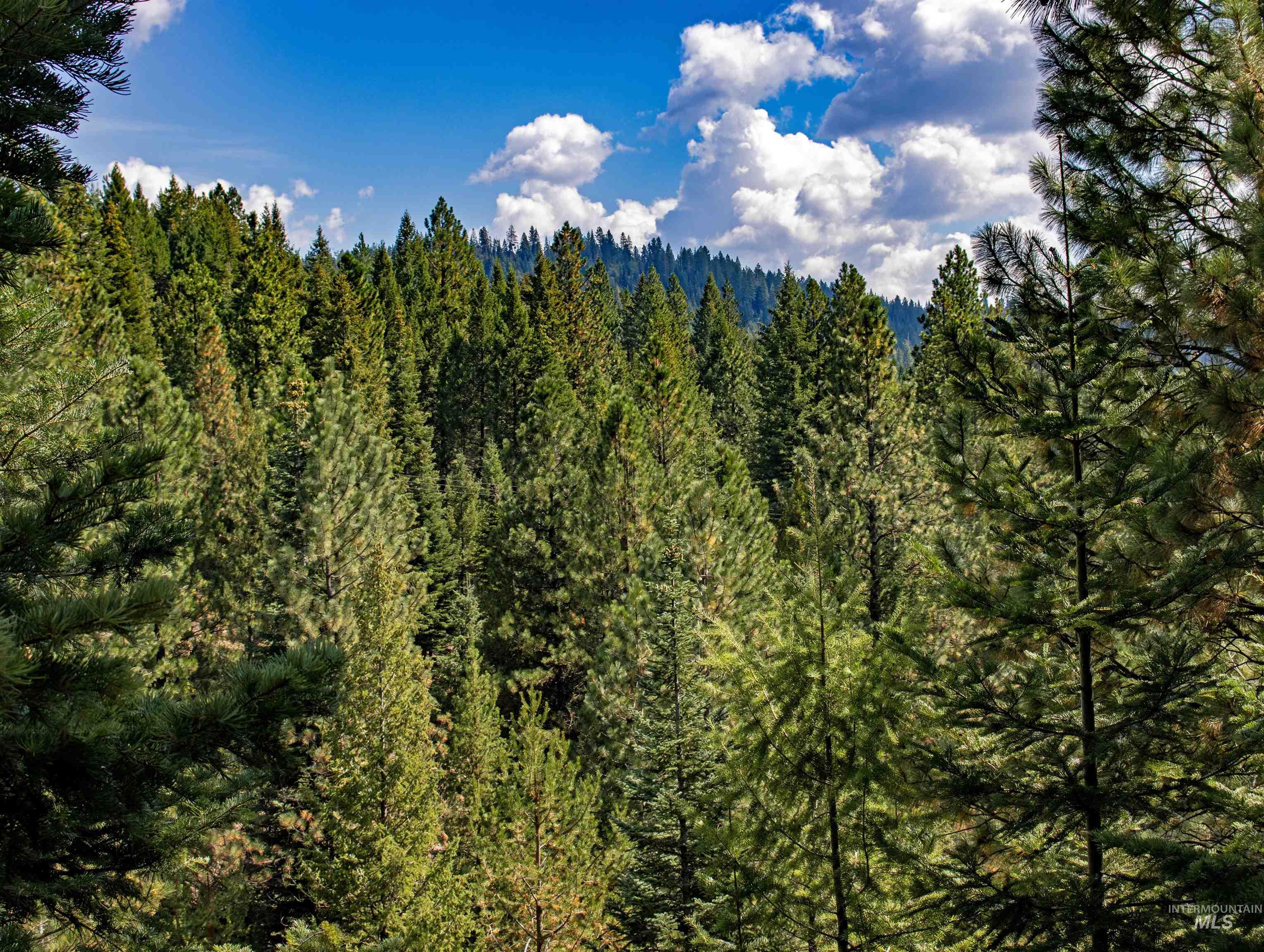 1 High Valley Road Cascade, ID 83611 - Photo 11 of 13 View of woods
