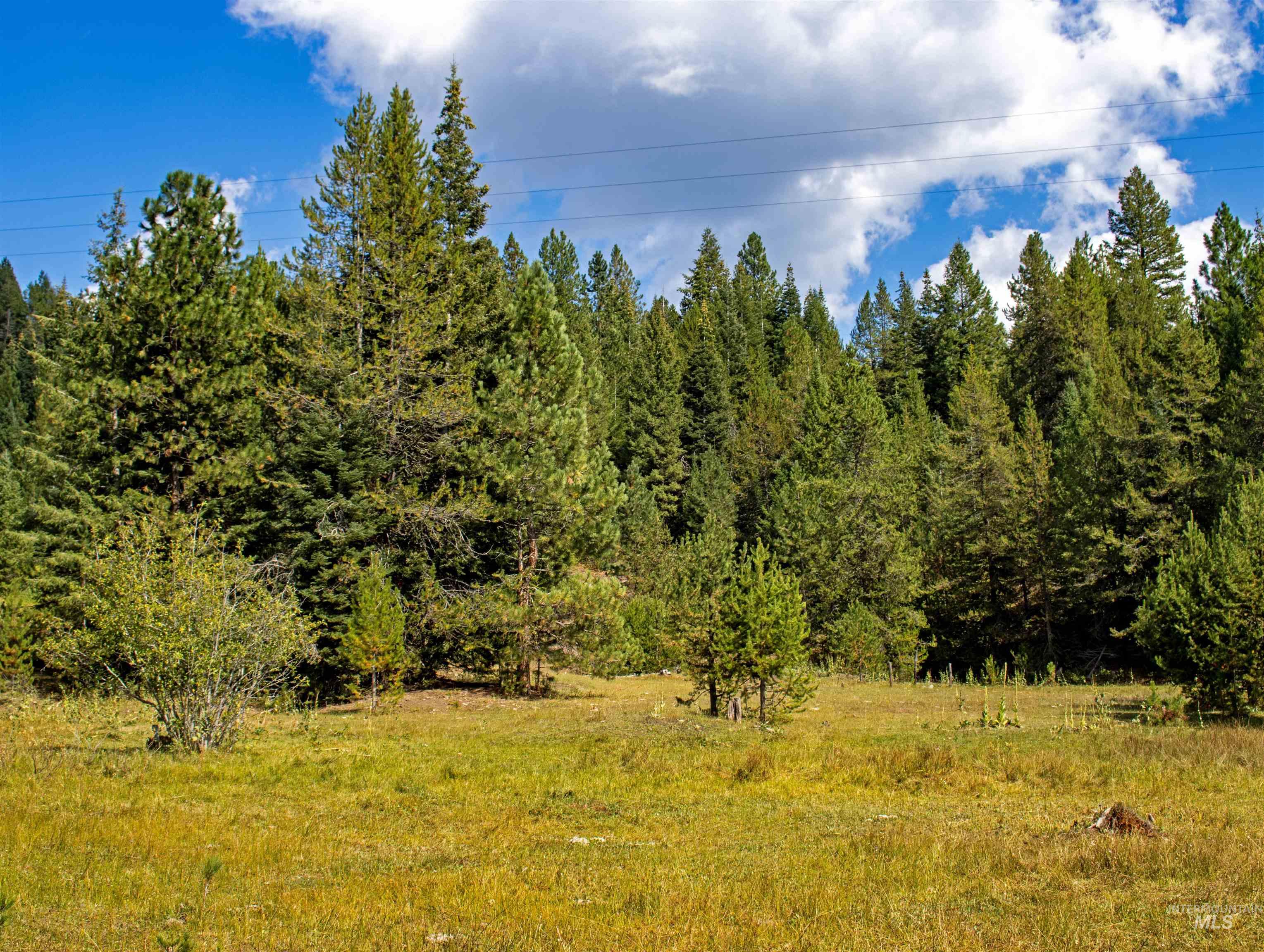 1 High Valley Road Cascade, ID 83611 - Photo 13 of 13 View of nature