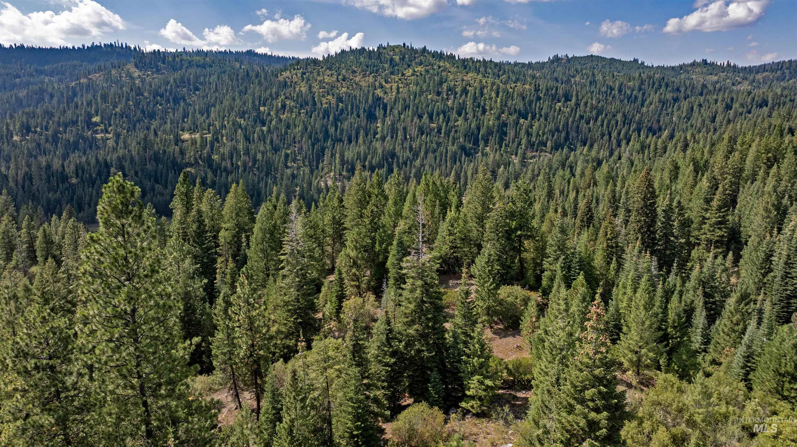 1 High Valley Road Cascade, ID 83611 - Photo 8 of 13 Mountain view featuring a forest