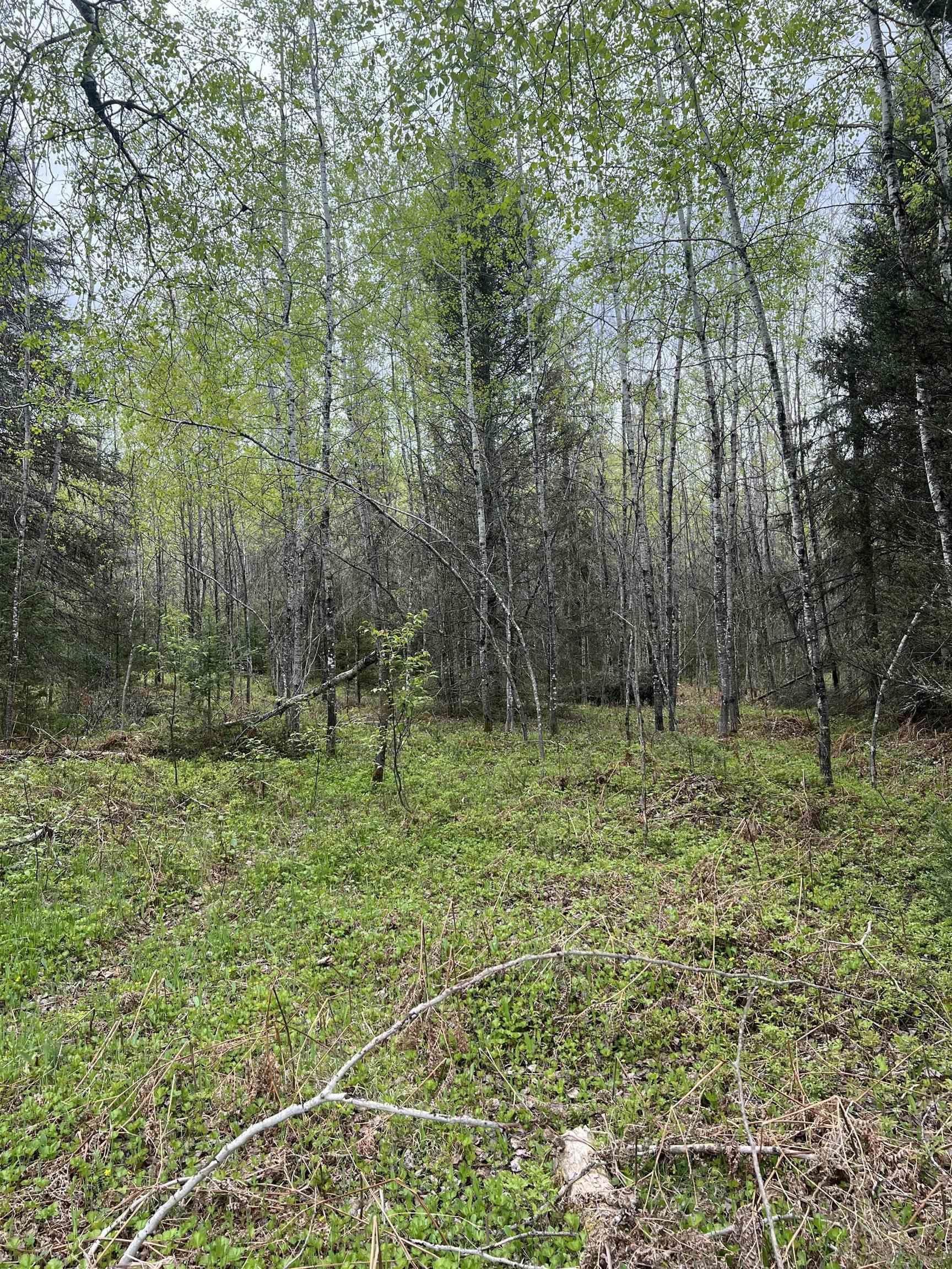 0 County Road Ishpeming, MI 49849 - Photo 16 of 85
