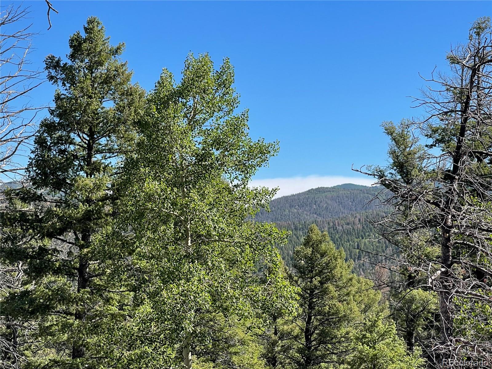 6168 Hoadley Road San Luis, CO 81152 - Photo 5 of 18