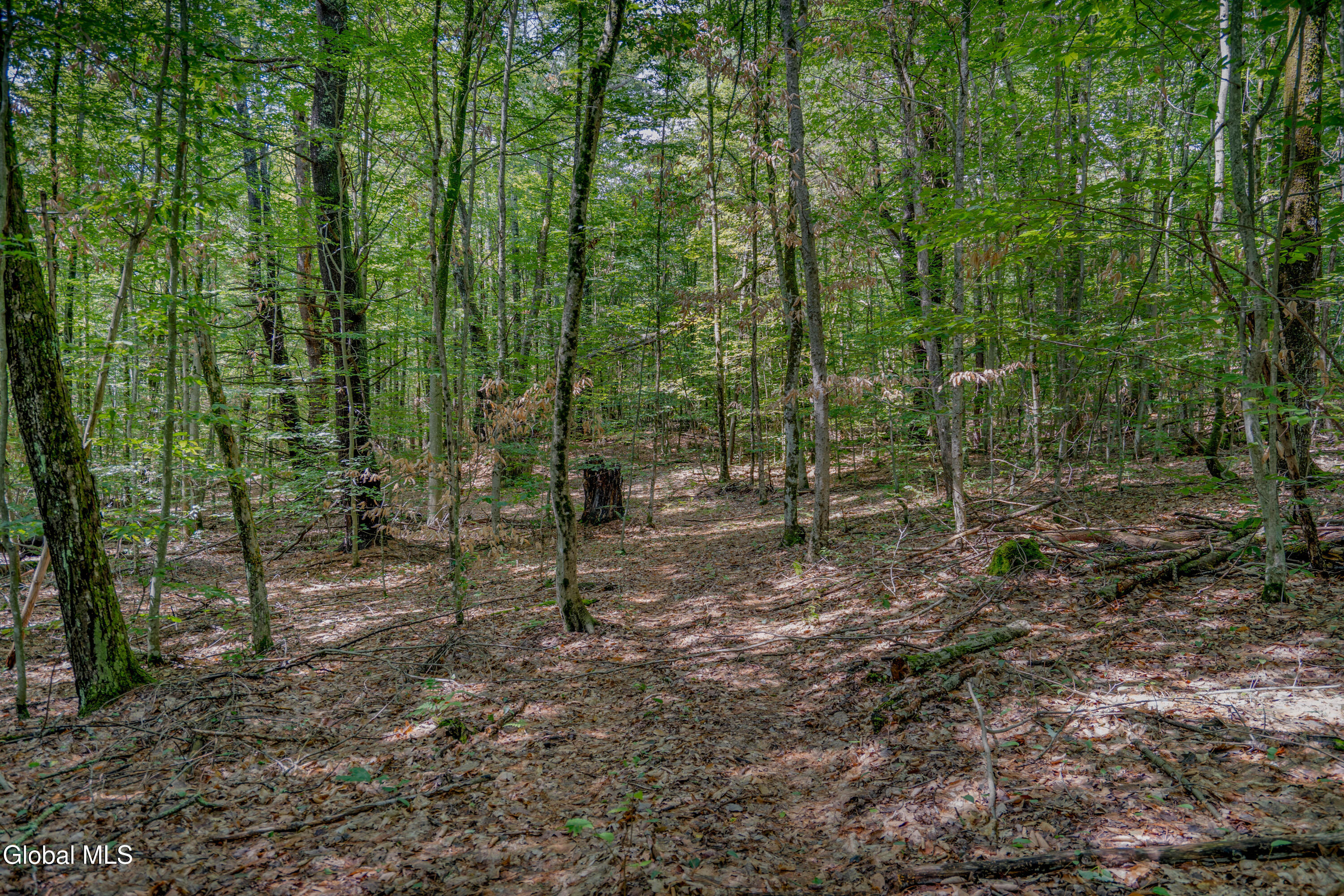 L13.5 Kilmer Road Argyle, NY 12809 - Photo 10 of 32 _DSC7007-Edit